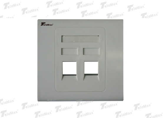 2 Port 86 Type Faceplate 86*86mm