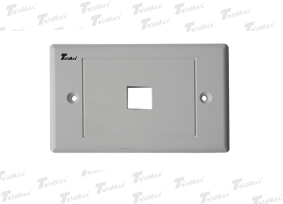 1 Port 120 Type Faceplate