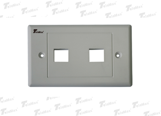 2 Port 120 Type Faceplate