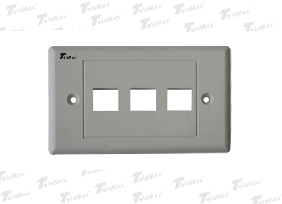 3 Port 120 Type Faceplate
